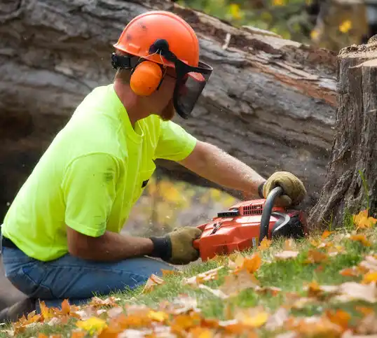 tree services Golden City